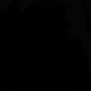 Shanxi Black Texture